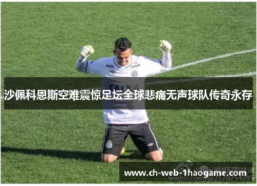 沙佩科恩斯空难震惊足坛全球悲痛无声球队传奇永存