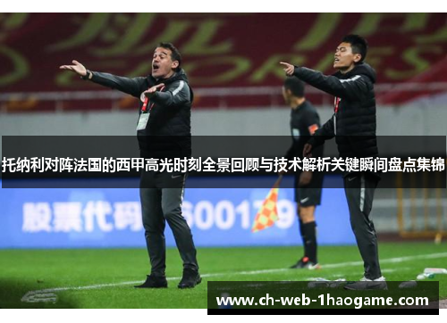 托纳利对阵法国的西甲高光时刻全景回顾与技术解析关键瞬间盘点集锦
