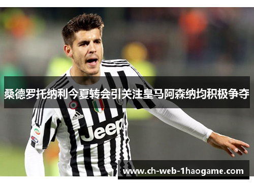 桑德罗托纳利今夏转会引关注皇马阿森纳均积极争夺