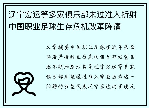 辽宁宏运等多家俱乐部未过准入折射中国职业足球生存危机改革阵痛