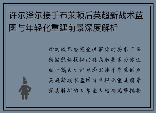 许尔泽尔接手布莱顿后英超新战术蓝图与年轻化重建前景深度解析